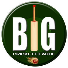 Big Cricket Logo